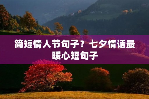 简短情人节句子？七夕情话最暖心短句子