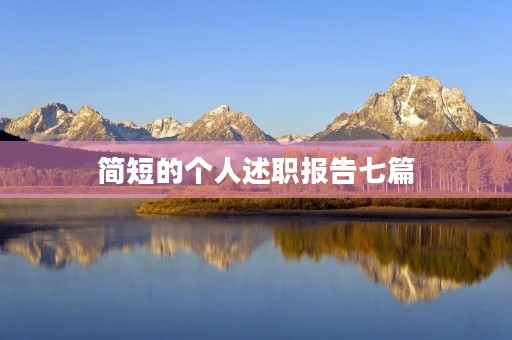 简短的个人述职报告七篇