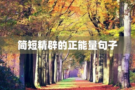 简短精辟的正能量句子(简短精辟的正能量句子英文)