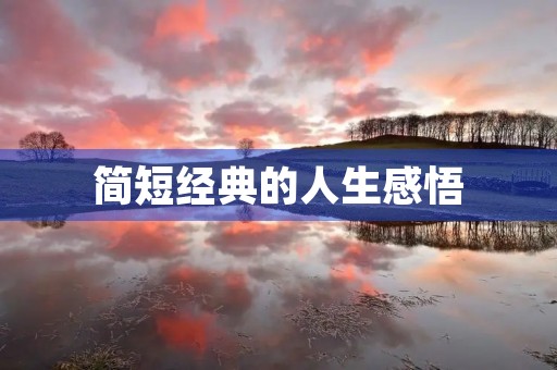 简短经典的人生感悟(简短经典的人生感悟句子) 简短经典的人生感悟(简短经典的人生感悟句子)