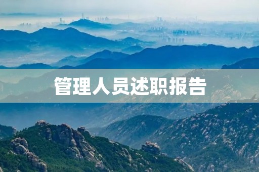 管理人员述职报告