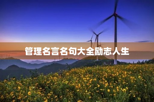 管理名言名句大全励志人生，管理心得精辟一句话