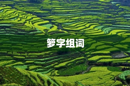 箩字组词(箩的组词) 箩字组词(箩的组词)