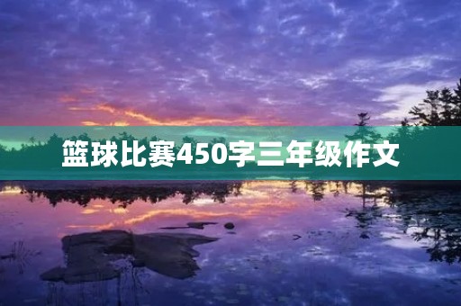篮球比赛450字三年级作文