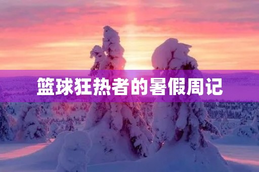 篮球狂热者的暑假周记