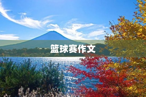 篮球赛作文 篮球赛作文