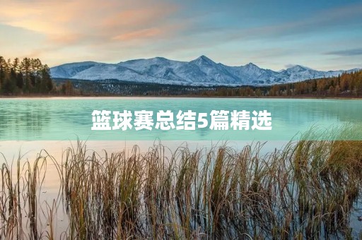 篮球赛总结5篇精选