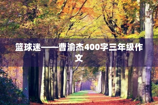 篮球迷——曹渝杰400字三年级作文