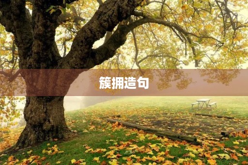 簇拥造句 簇拥造句