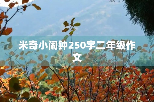 米奇小闹钟250字二年级作文
