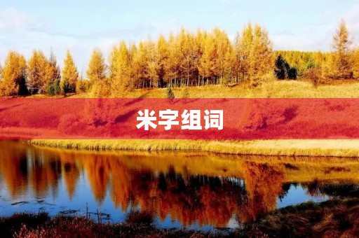 米字组词(米组词)