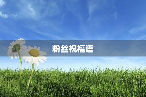 粉丝祝福语(粉丝对主播的陪伴用语) 粉丝祝福语(粉丝对主播的陪伴用语)