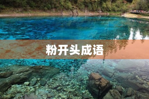 粉开头成语 粉开头成语