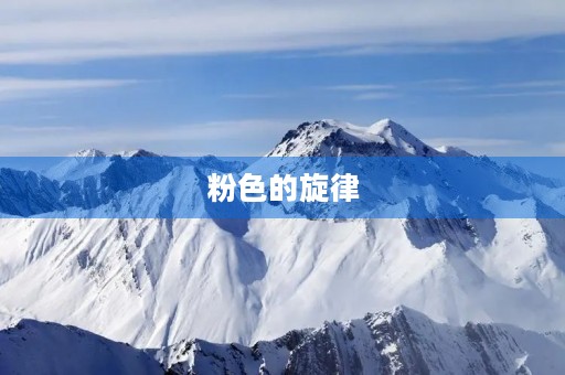 粉色的旋律 粉色的旋律
