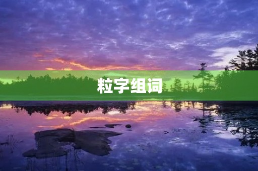 粒字组词(粒的组词)