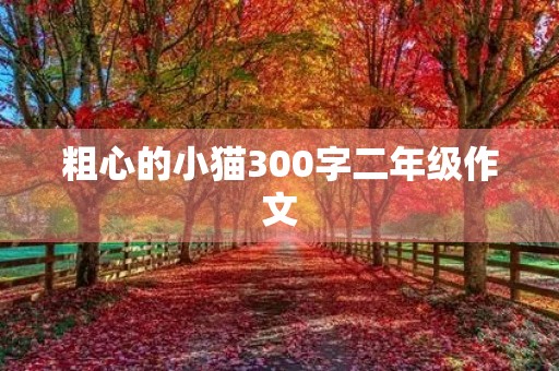 粗心的小猫300字二年级作文 粗心的小猫300字二年级作文