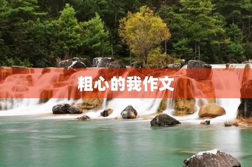 粗心的我作文 粗心的我作文
