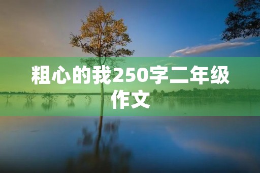 粗心的我250字二年级作文