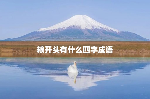 粮开头有什么四字成语