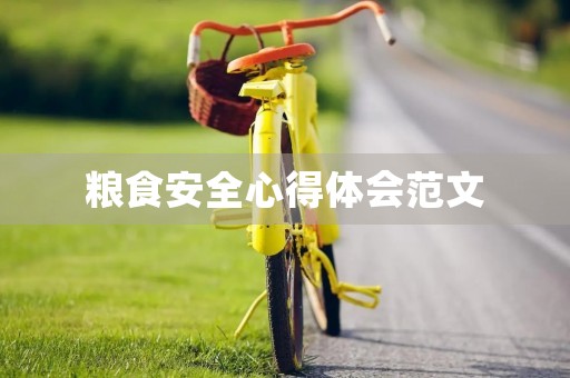 粮食安全心得体会范文