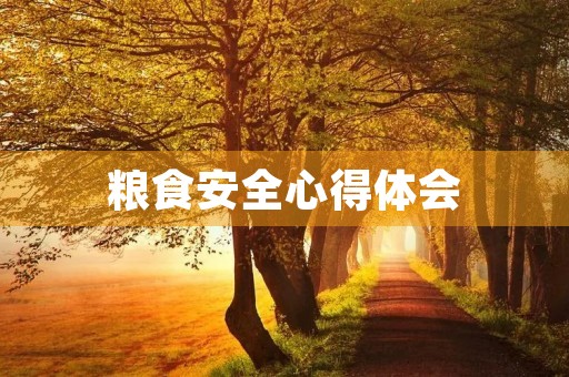粮食安全心得体会