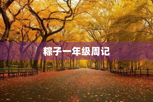 粽子一年级周记
