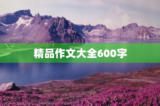 精品作文大全600字 精品作文大全600字