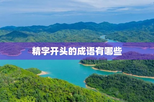 精字开头的成语有哪些 精字开头的成语有哪些
