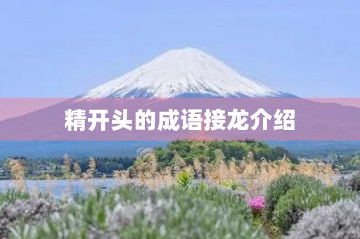 精开头的成语接龙介绍