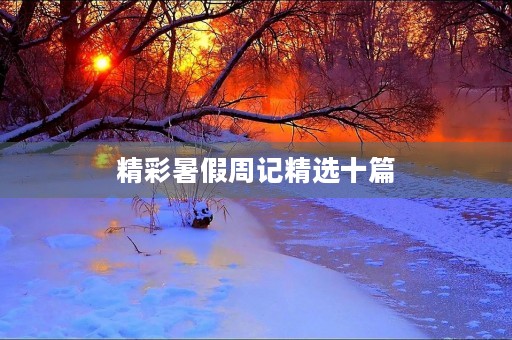 精彩暑假周记精选十篇 精彩暑假周记精选十篇