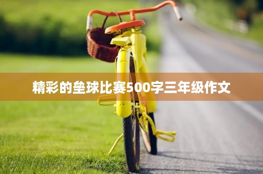 精彩的垒球比赛500字三年级作文 精彩的垒球比赛500字三年级作文