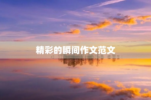 精彩的瞬间作文范文 精彩的瞬间作文范文
