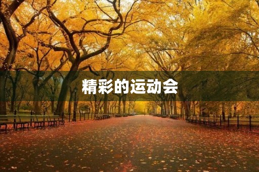 精彩的运动会 精彩的运动会