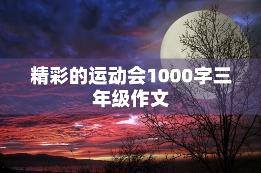 精彩的运动会1000字三年级作文 精彩的运动会1000字三年级作文