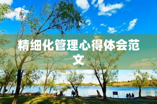精细化管理心得体会范文