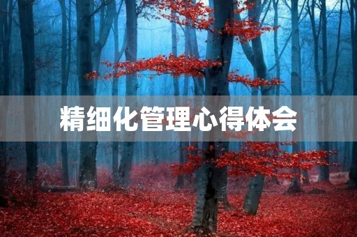 精细化管理心得体会 精细化管理心得体会