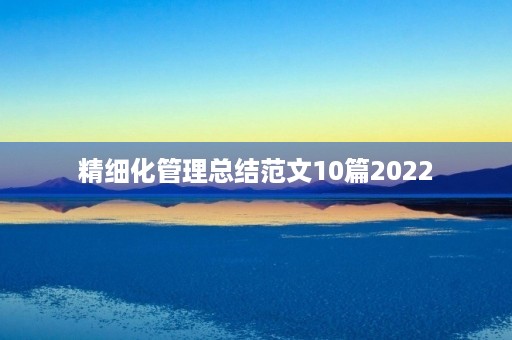 精细化管理总结范文10篇2022