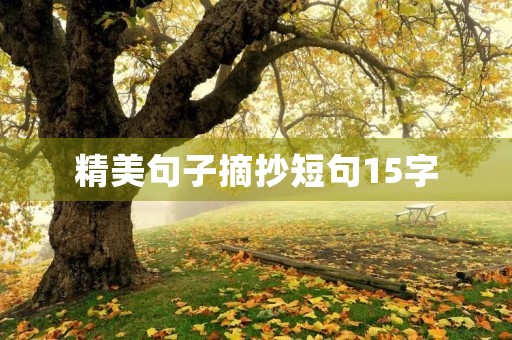 精美句子摘抄短句15字,精美句子摘抄短句15字10个 精美句子摘抄短句15字,精美句子摘抄短句15字10个