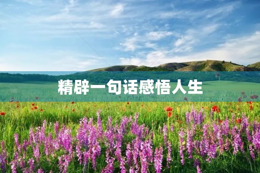 精辟一句话感悟人生(精辟一句话感悟人生鲁迅的句子) 精辟一句话感悟人生(精辟一句话感悟人生鲁迅的句子)