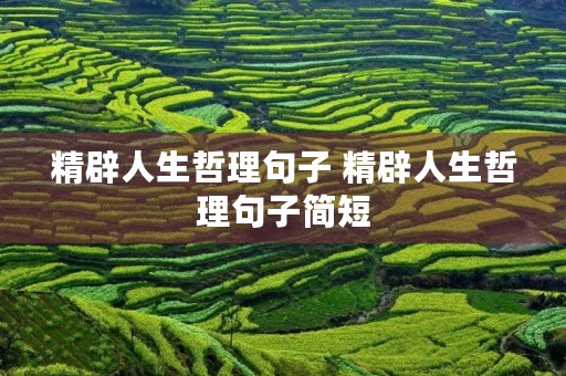精辟人生哲理句子 精辟人生哲理句子简短 精辟人生哲理句子 精辟人生哲理句子简短