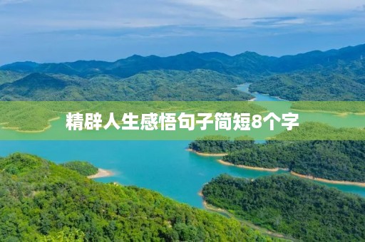 精辟人生感悟句子简短8个字，精辟人生感悟句子简短8个字图片