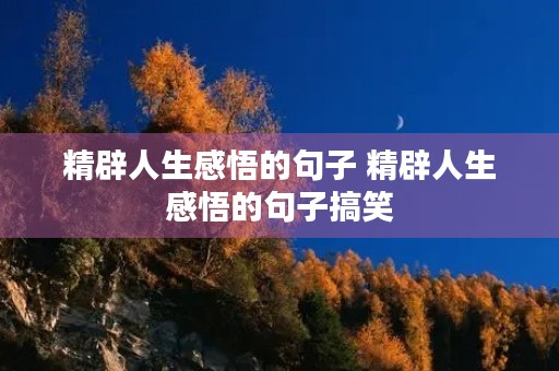 精辟人生感悟的句子 精辟人生感悟的句子搞笑 精辟人生感悟的句子 精辟人生感悟的句子搞笑
