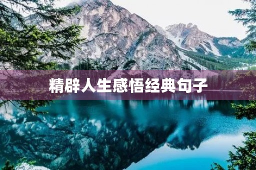 精辟人生感悟经典句子(精辟人生感悟经典句子励志)