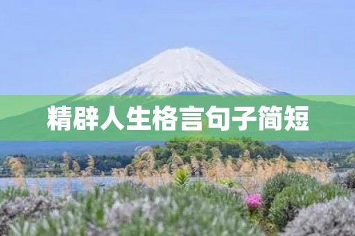 精辟人生格言句子简短，正能量人生格言