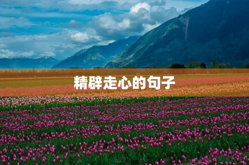 精辟走心的句子(高情商的暖心句子) 精辟走心的句子(高情商的暖心句子)