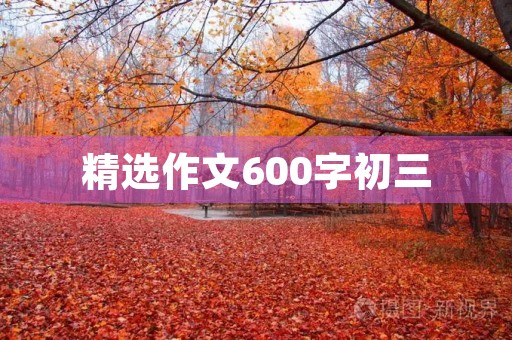 精选作文600字初三