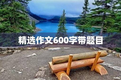 精选作文600字带题目