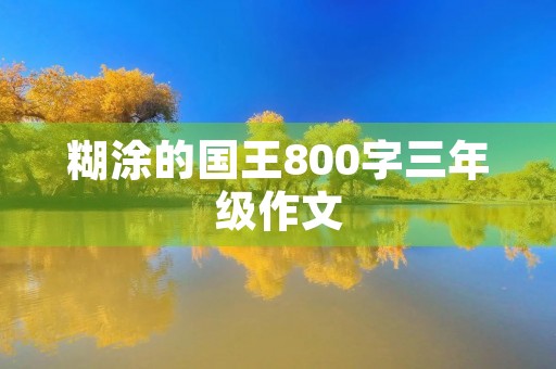糊涂的国王800字三年级作文