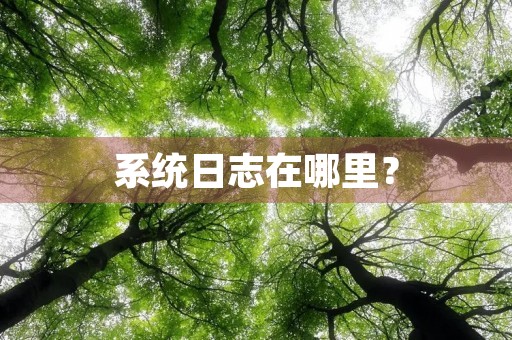 系统日志在哪里？