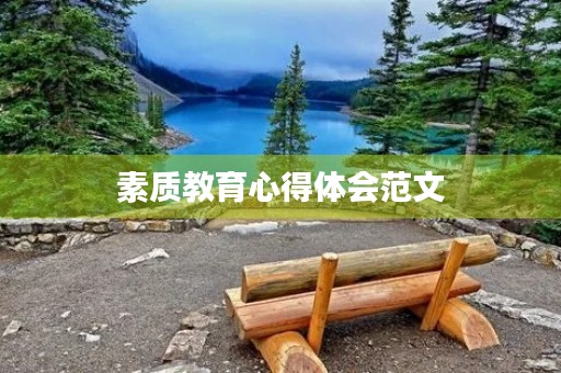 素质教育心得体会范文